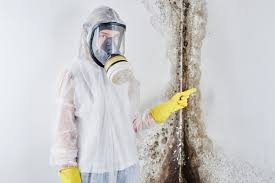 Reliable Hudson, IL Mold Prevention & Removal  Solutions